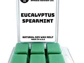 Eucalyptus Spearmint Wax Melts by Candlecopia®, 2 Pack