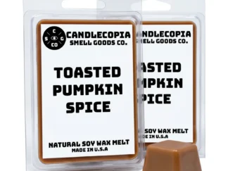Toasted Pumpkin Spice Wax Melts