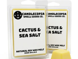 Cactus & Sea Salt Wax Melts